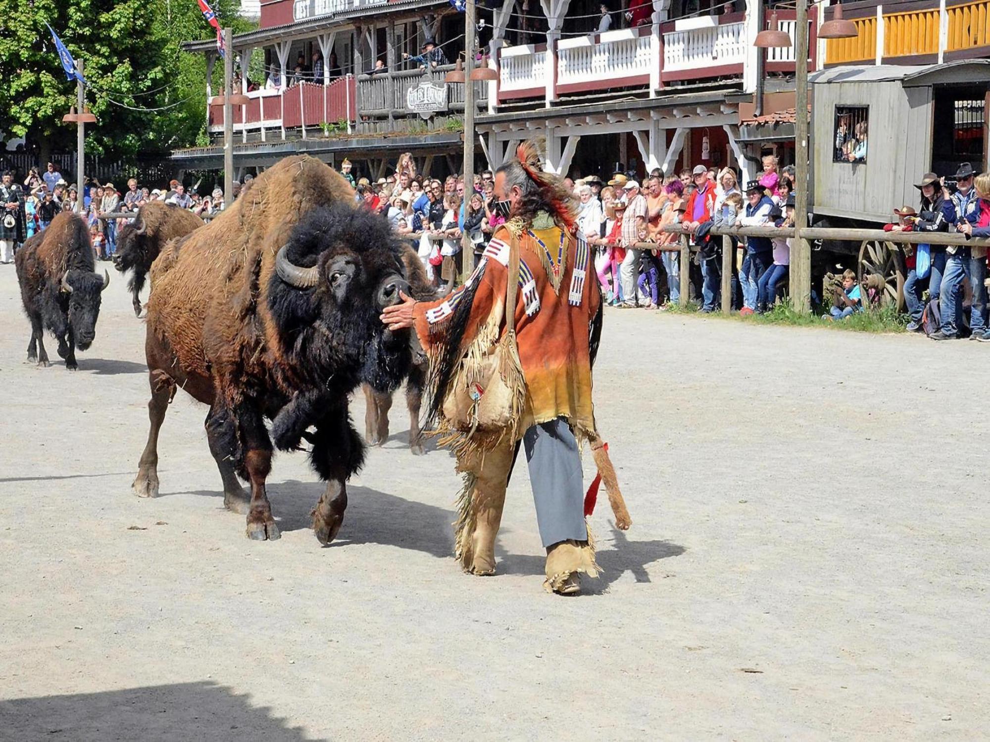 Harz Hasselfelde